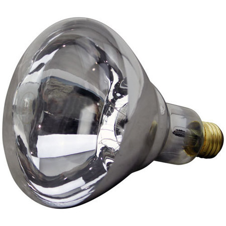 Allpoints Heat Lamp -  , 125W/120V, Clear 8011024